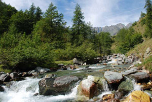 RISORSA MONVISO