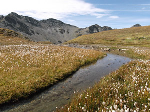 RISORSA MONVISO